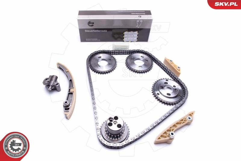 Timing Chain Kit